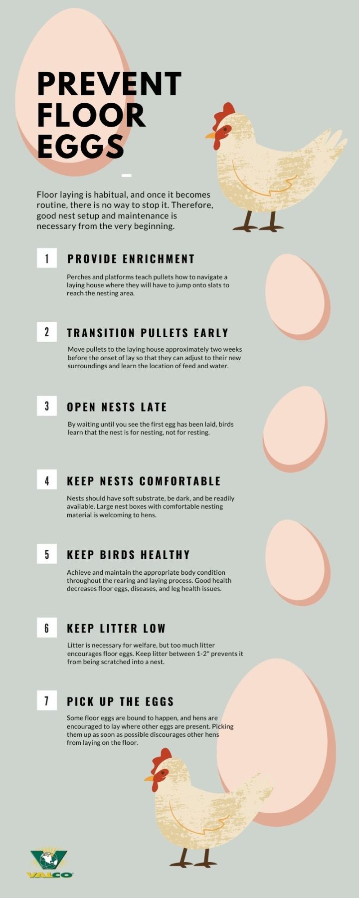 Prevent Floor Eggs With These 7 Simple Steps - VAL-CO